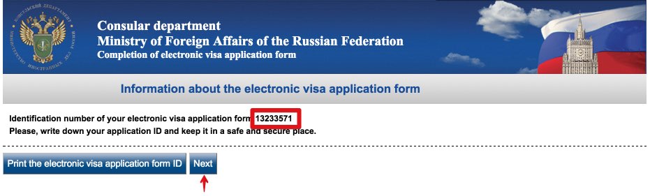 Visa application form Russia - USA Citizens 3